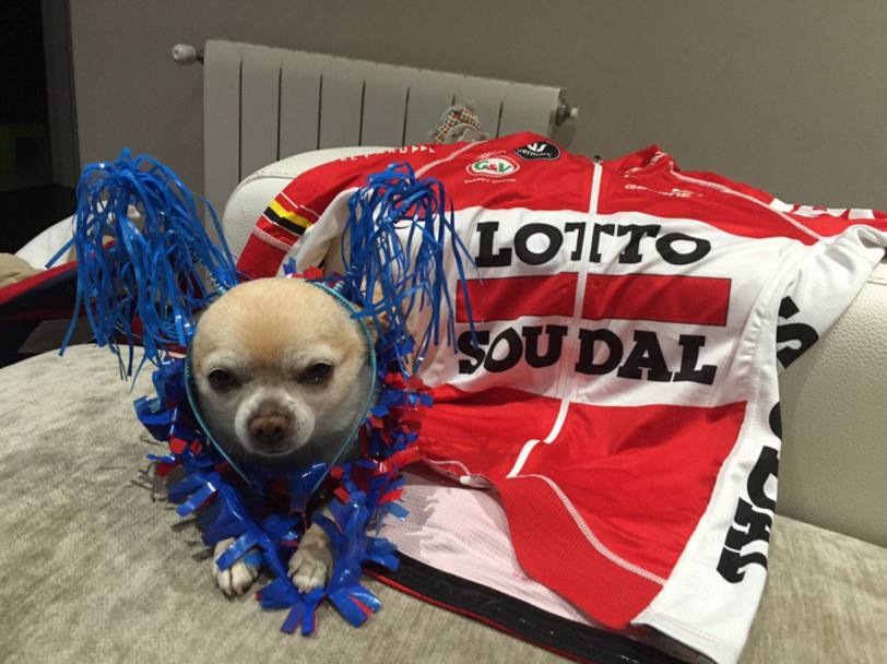 Lo spagnolo Rafa Valls presenta cos la sua nuova maglia Lotto-Soudal